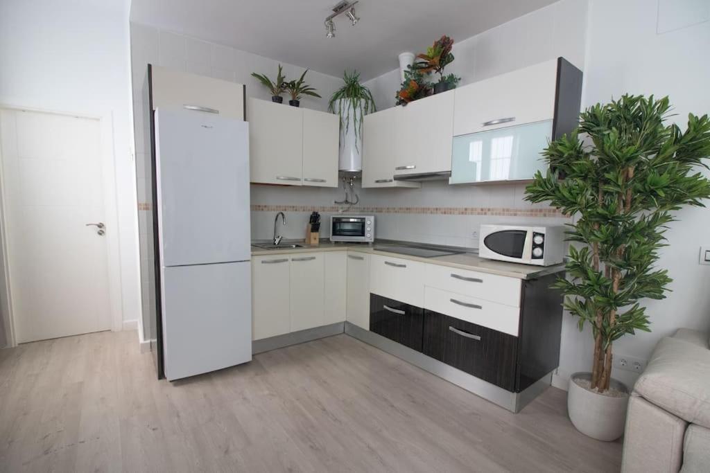 Trinidad Aparment Apartment Málaga