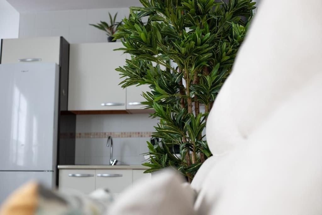 Apartment Trinidad Aparment Málaga